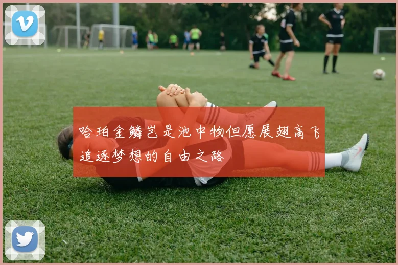 哈珀金鳞岂是池中物但愿展翅高飞追逐梦想的自由之路