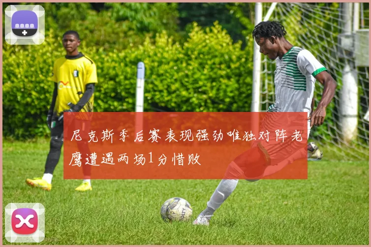 尼克斯季后赛表现强劲唯独对阵老鹰遭遇两场1分惜败