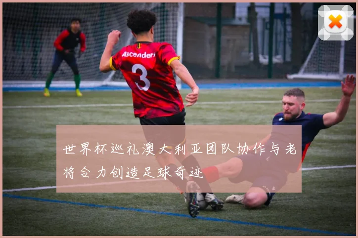 世界杯巡礼澳大利亚团队协作与老将合力创造足球奇迹