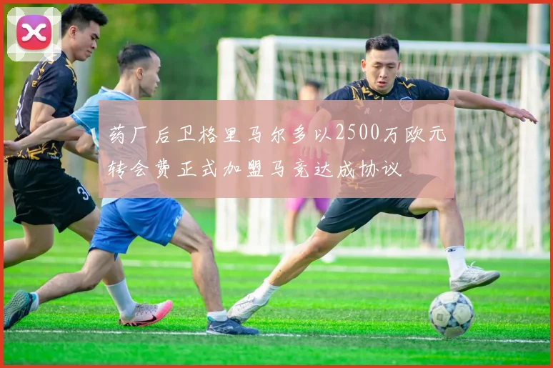 药厂后卫格里马尔多以2500万欧元转会费正式加盟马竞达成协议