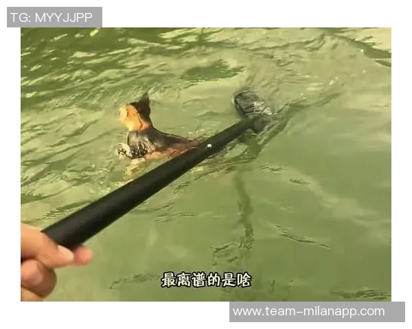 库尔图瓦谈老鼠事件表示绝不会伤害小动物将其安全放生